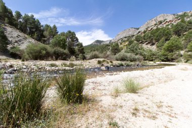 Dağlık ve örgülü bir nehir.