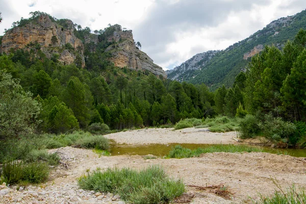 Górska Rzeka Między Drzewami Górami — Zdjęcie stockowe