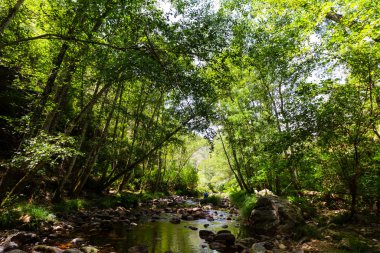 Riverbank views from the riverbed