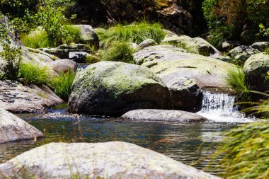 Riverbank views from the riverbed