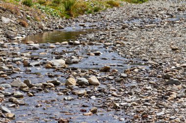 Nehir yatağında kayalar olan bir dağ nehri.