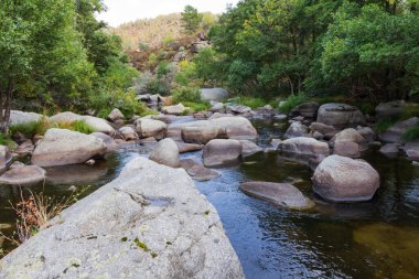 Kayaları ve temiz suyu olan bir dağ nehri.