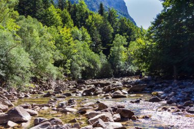 Kayaları ve temiz suyu olan bir dağ nehri.