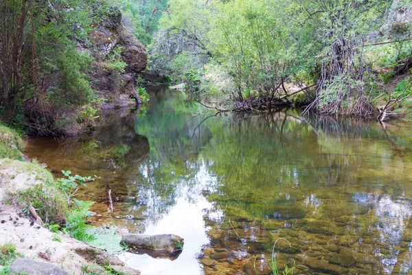 Kayaları ve temiz suyu olan bir dağ nehri.