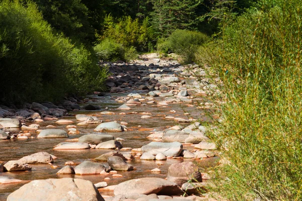 Kayaları ve temiz suyu olan bir dağ nehri.