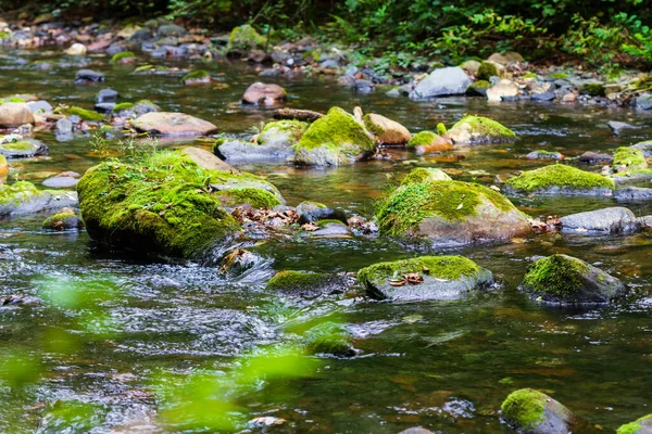 Rio Montanha Com Pedregulhos Água Limpa — Fotografia de Stock