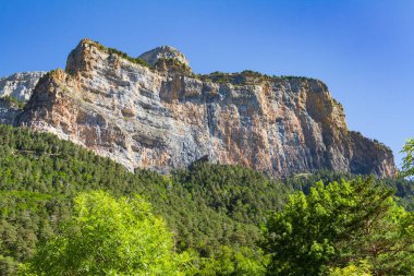 Pirenelerin dağlık ve kayalık manzarası