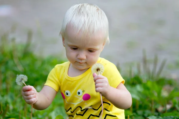 Маленький ребенок с одуванчиками — стоковое фото