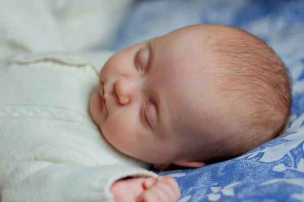 Новорожденный Ребенок Спит Трикотаже — стоковое фото