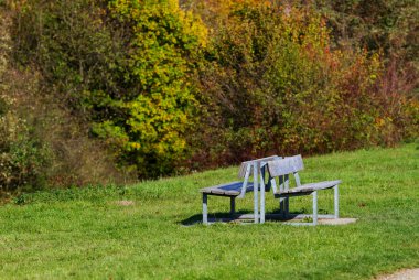 Ormanın karşısındaki yeşil çimenlikte iki boş bank, yalnızlık, düşüncelilik, aşk konsepti.