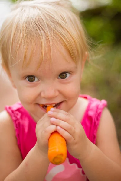 Красивая Блондинка Которая Ест Свежую Морковку Открытом Воздухе Солнечный Летний — стоковое фото