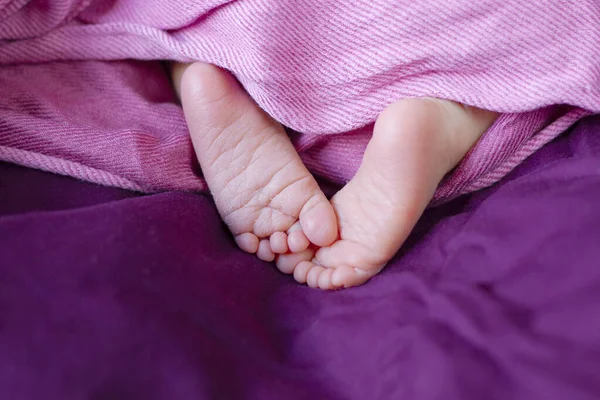 Крупный План Ног Новорожденного Ребенка Розовые Грубые Ноги Розовый Фиолетовый — стоковое фото