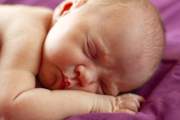 Свиной Новорожденный Спящий Кровати Розовым Одеялом Крупным Планом Портрет — стоковое фото