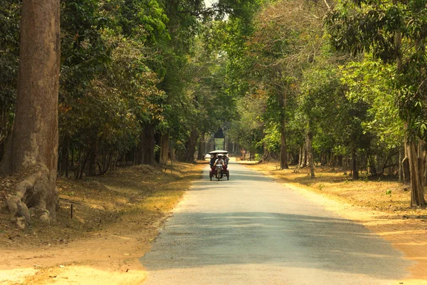 Angkor Wat. Tapınak. Khmer medeniyet. Siem biçmek. Kamboçya'da turizm