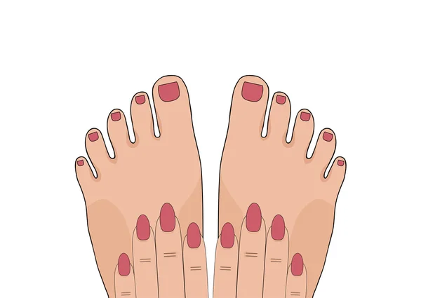 283 Nail shapes Vector Images | Depositphotos