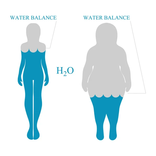 水バランス、人間のシルエット。健康的なライフ スタイルのコンセプト。ベクトル — ストックベクタ