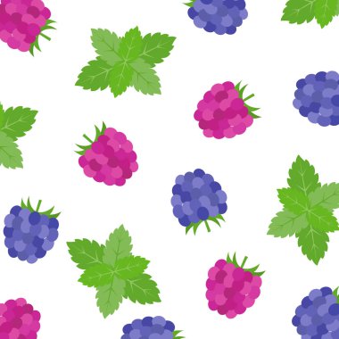 Ahududu, böğürtlen, nane. Vektör. Çeşitli parlak desen