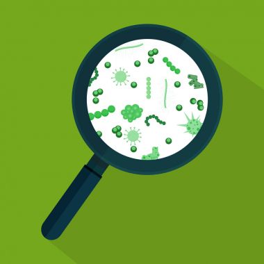 Vektör çizim. Mikroplar mikroskop altında.