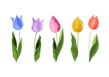 Arka plan üzerinde izole çiçekler. Vektör. Elle çizilmiş vektör