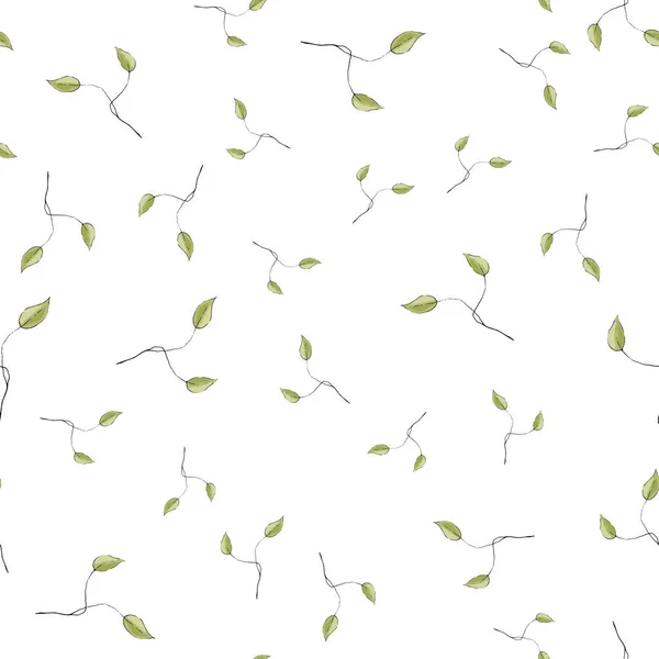 Feuillage Vert Sur Fond Blanc Éléments Dessinés Main Apporte Motif — Image vectorielle