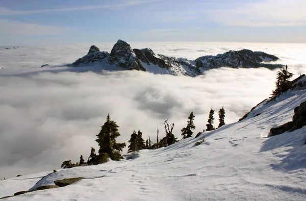 Doğu ve Batı aslanlar North Shore dağ bulutların üstünde
