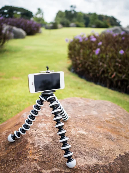 Smartphone installed on flexible tripod in garden — Stock Photo, Image