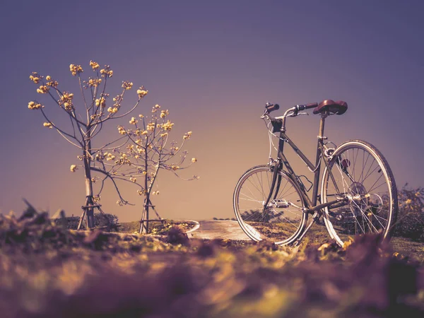 Fahrrad mit Blütenbäumen im Garten — Stockfoto