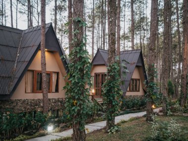 Çam ormanında bir yazlık.