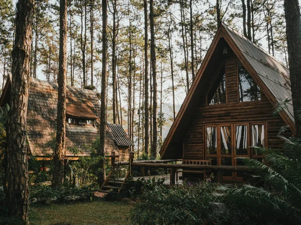 Будинок відпочинку в сосновому лісі — стокове фото