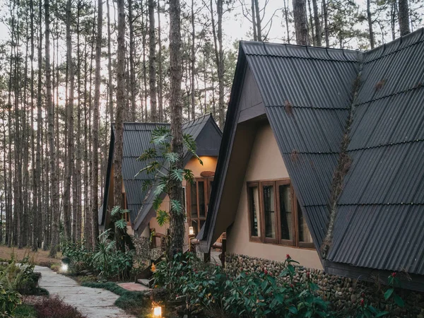Dom wakacyjny w sosnowym lesie — Zdjęcie stockowe