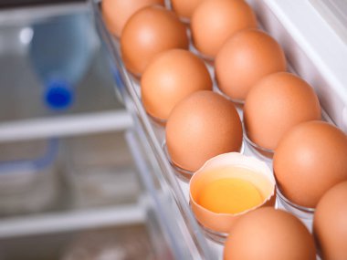 Organik tavuk yumurtaları buzdolabında fotokopi alanı olan yumurta bölmesindeki besin maddelerinden biridir. Organik tavuk yumurtaları gıda koruma yöntemleriyle korunur.