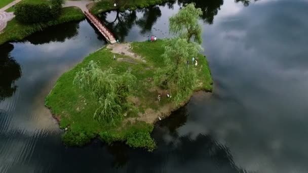 Park met een brug over het meer naar het eiland — Stockvideo