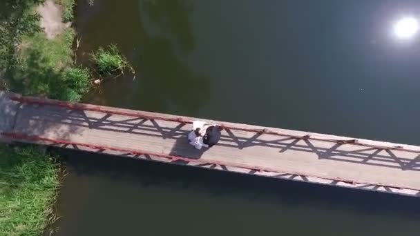 Парк з мостом через озеро до острова — стокове відео