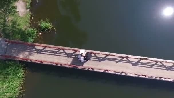 Park met een brug over het meer naar het eiland — Stockvideo