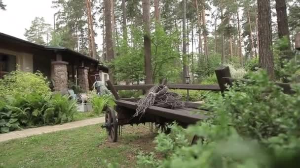 Деревянная повозка для лошади — стоковое видео