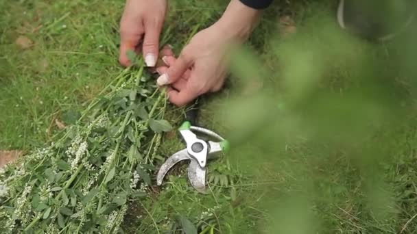 Buquê de flores — Vídeo de Stock