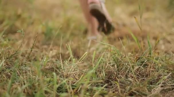 Una pareja amorosa está caminando sobre la hierba — Vídeos de Stock