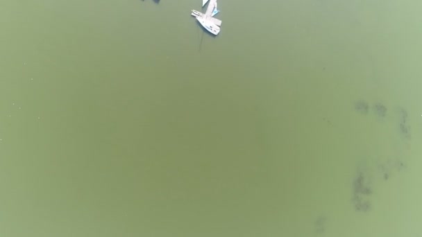 Gospodarstwo nad jeziorem, widok z lotu ptaka — Wideo stockowe