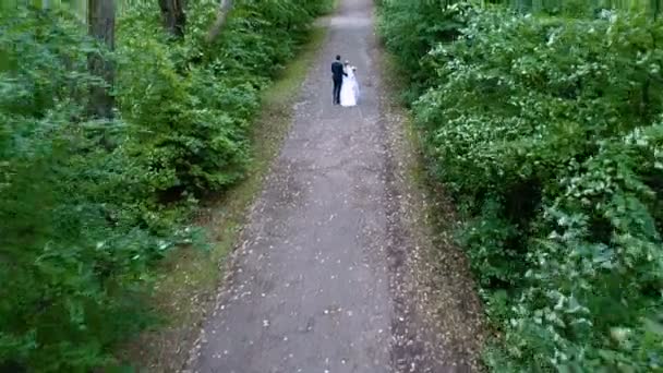 Braut und Bräutigam gehen die Gasse entlang — Stockvideo