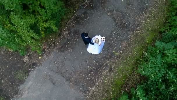 The bride and groom walk along the alley — Stock Video