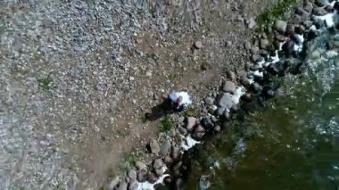 Gelin ve damat kıyı yürümek