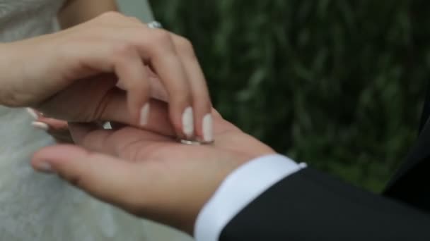 Bruid Het Zetten Van Ring Aan Vinger Van Bruidegom — Stockvideo