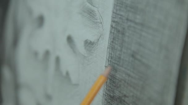 De kunstenaar strijkt met een eenvoudig potlood. Potloodtekening — Stockvideo