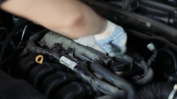 Αρσενικό Auto Μηχανικός Αλλάζει Μπουζί Κινητήρα Αυτοκινήτου Επιθεωρεί Και Αντικαθιστά — Αρχείο Βίντεο