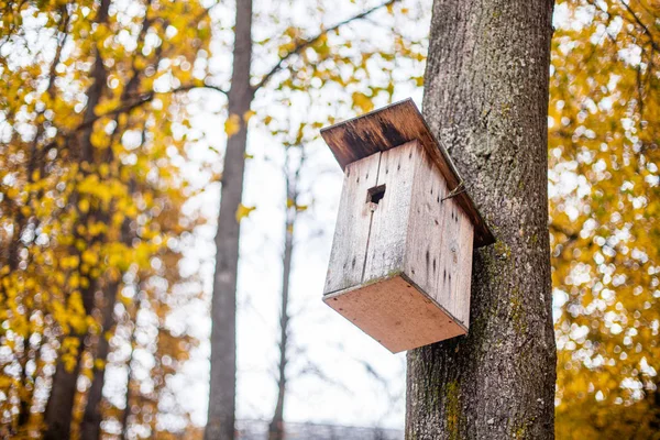 Vogelhuisje aan de boom. Schuilplaats voor vogels. — Stockfoto