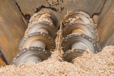 Çiftlik hayvanları için saman doğrama