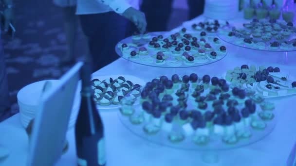 Buffet de réception avec hamburgers, snacks froids, viandes et salades. — Video