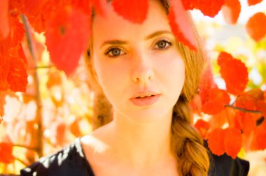 Kırmızı yaprakları ile güzel kız portresi