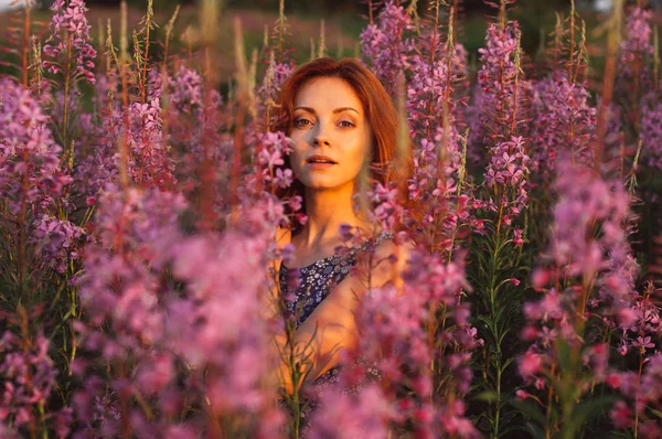 Hermosa chica en el campo, luz del sol, salida del sol —  Fotos de Stock