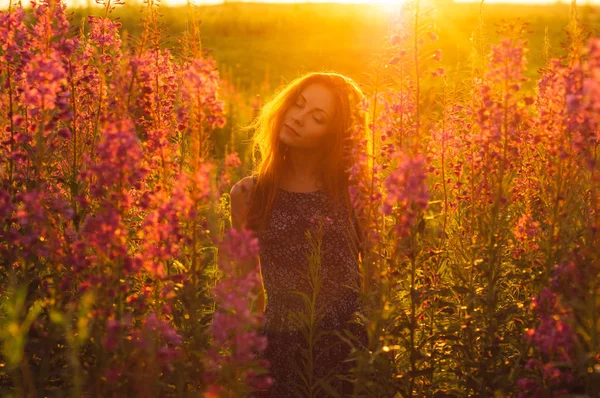 Schöne Mädchen auf dem Feld, Sonnenuntergang, Sonnenaufgang — Stockfoto